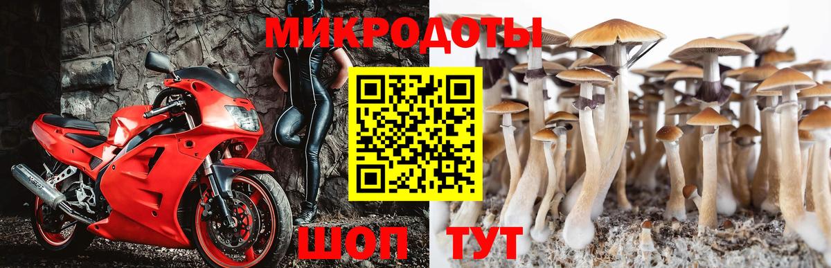 Псилоцибиновые грибы ЛСД  Вход с VPN  дарнет шоп  Ачхой-Мартан 